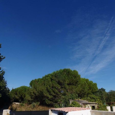 Апартаменты Joli Mazet Entre Montpellier Et Nimes Эмарг Экстерьер фото